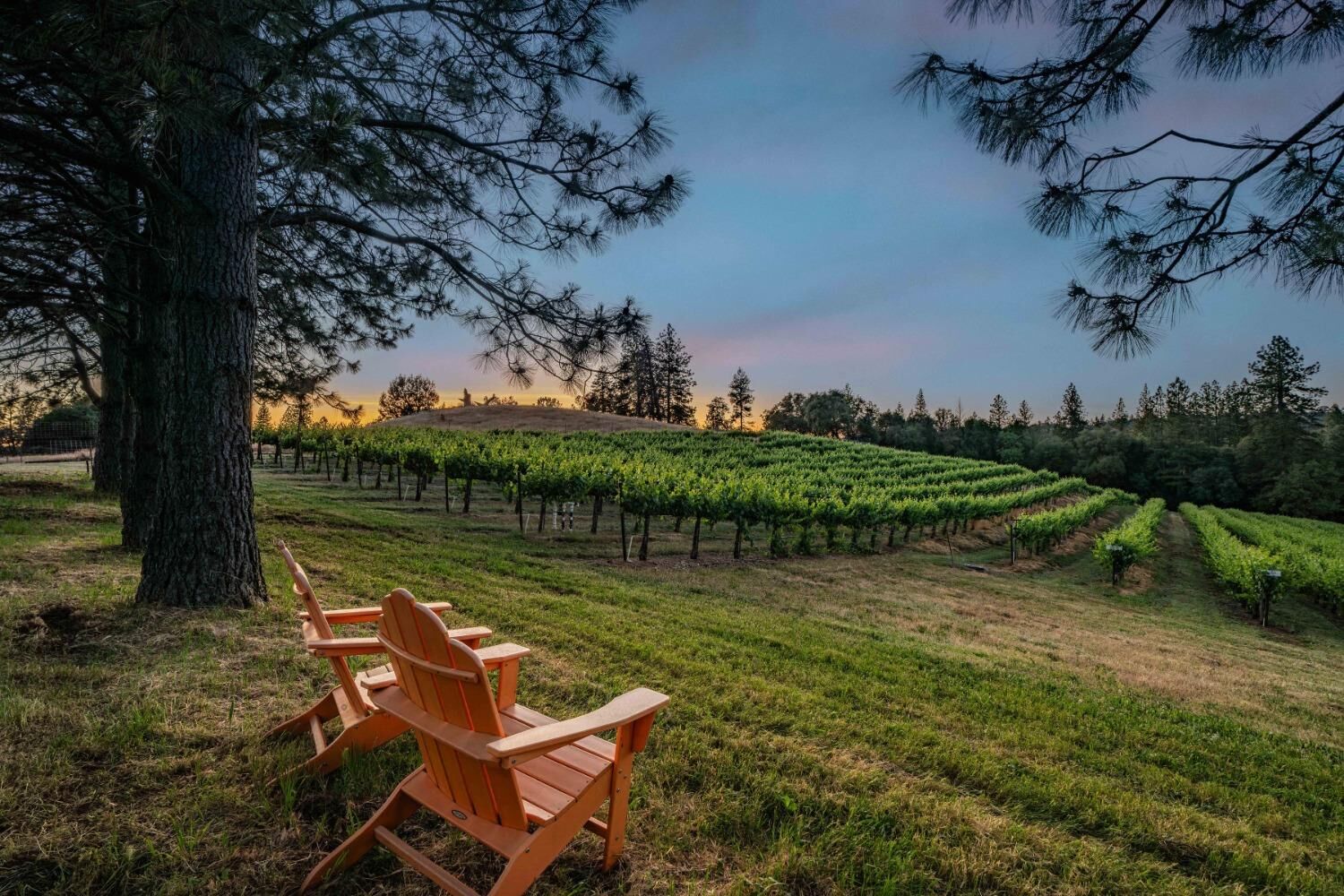 Property Photo:  16915 Red Mule Road  CA 95629 