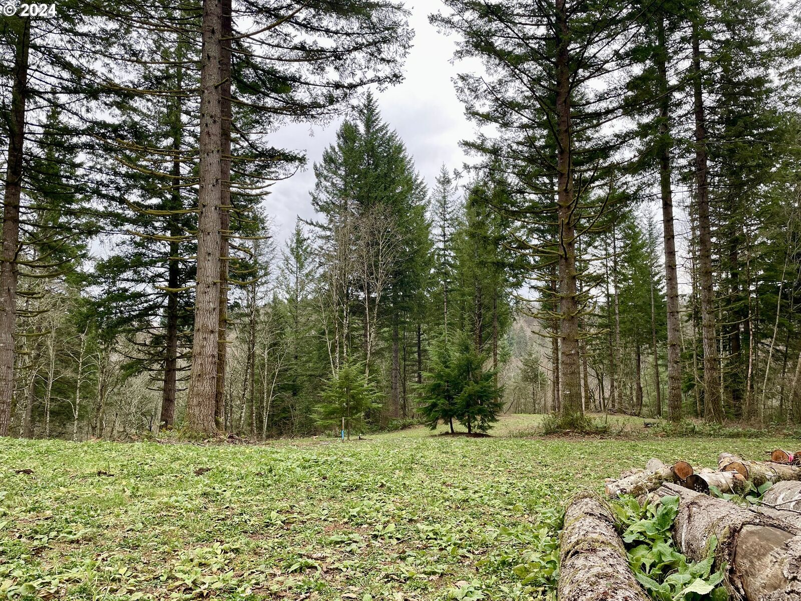 Property Photo:  NE 24th St  WA 98671 