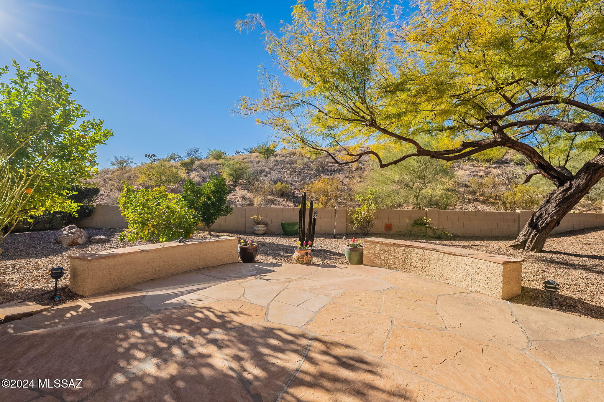 Property Photo:  38996 S Moonwood Drive  AZ 85739 