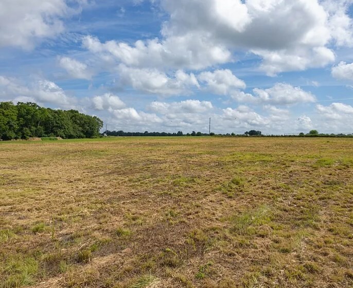 Property Photo:  1332 County Road 9  AL 36352 