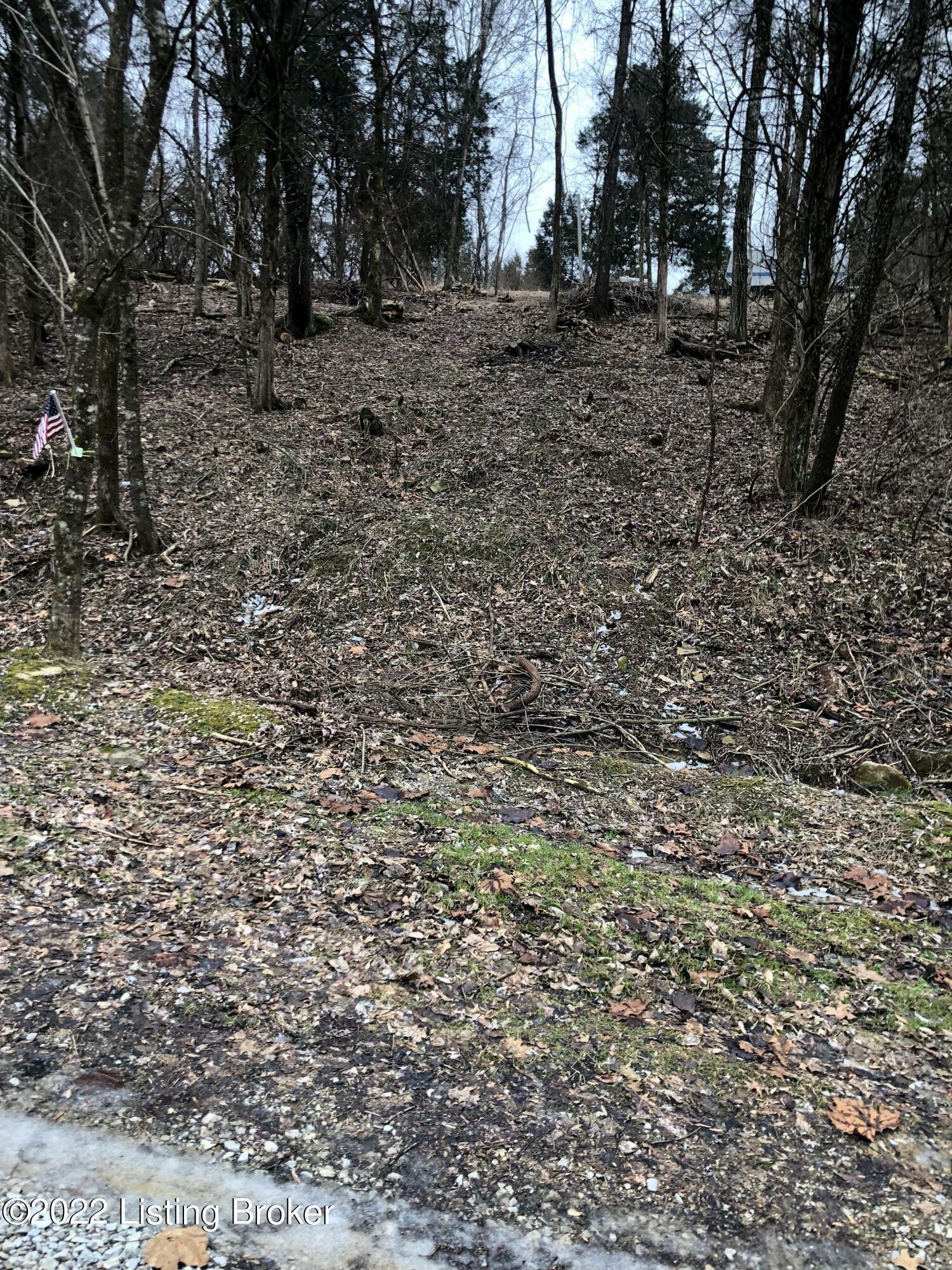 Property Photo:  Lot 260A Cedarmore Rd  KY 40003 