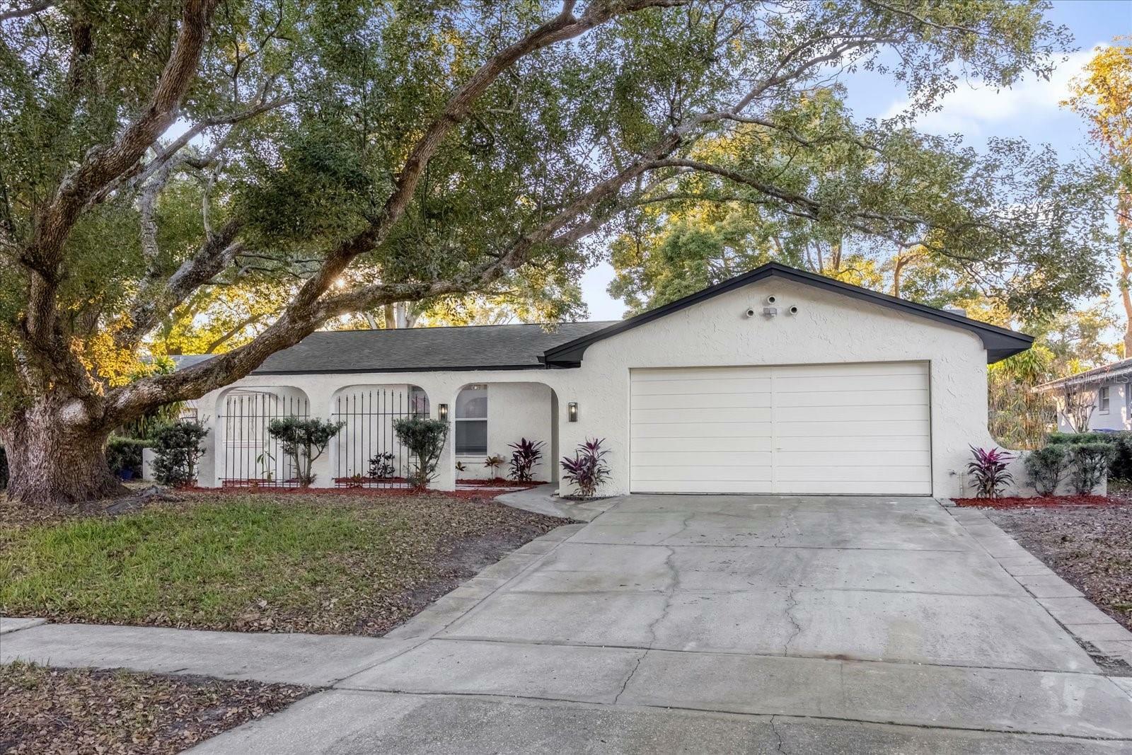 Property Photo:  609 Aldama Court  FL 34761 