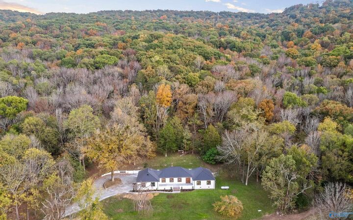 158 County Road 677  Bryant AL 35958 photo