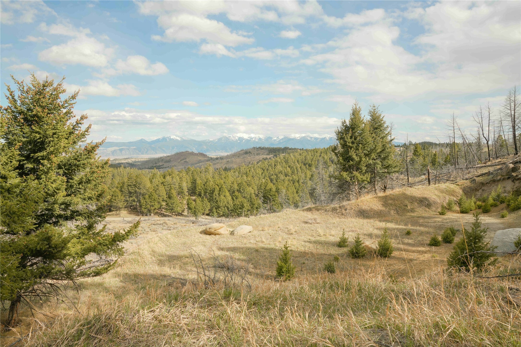 Property Photo:  Nhn Upper Radar Creek Road  MT 59759 