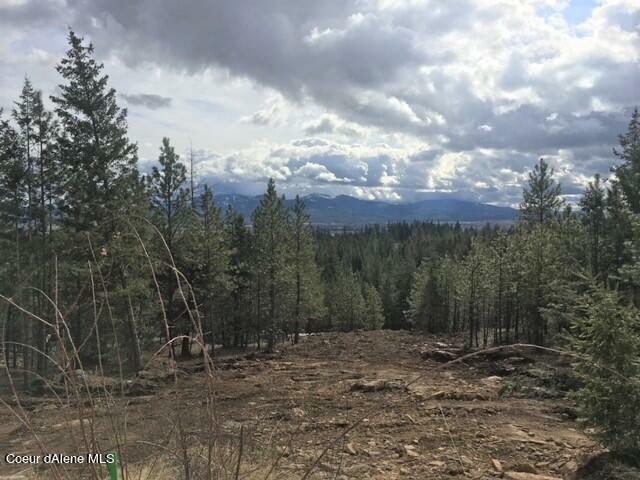 Spiral Ridge Trail Lot 9 Blk5  Rathdrum ID 83858 photo