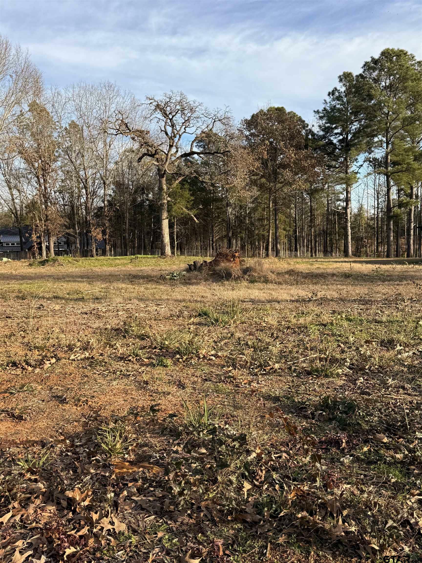 Property Photo:  17468 Cr 479 (Lot 5)  TX 75771 