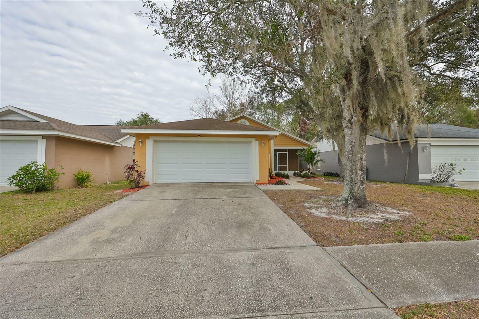 10828 Peppersong Drive  Riverview FL 33578 photo