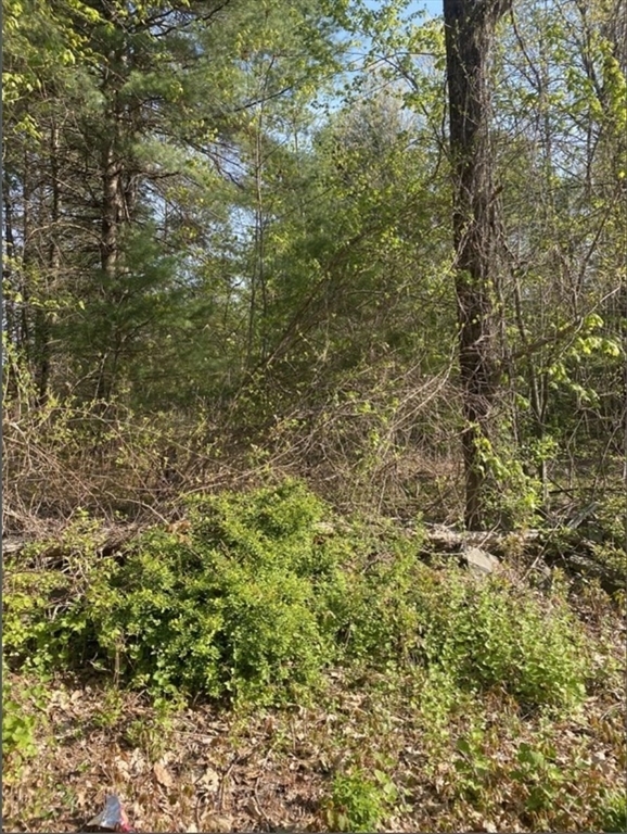 Property Photo: 77 Town Farm MA 01506