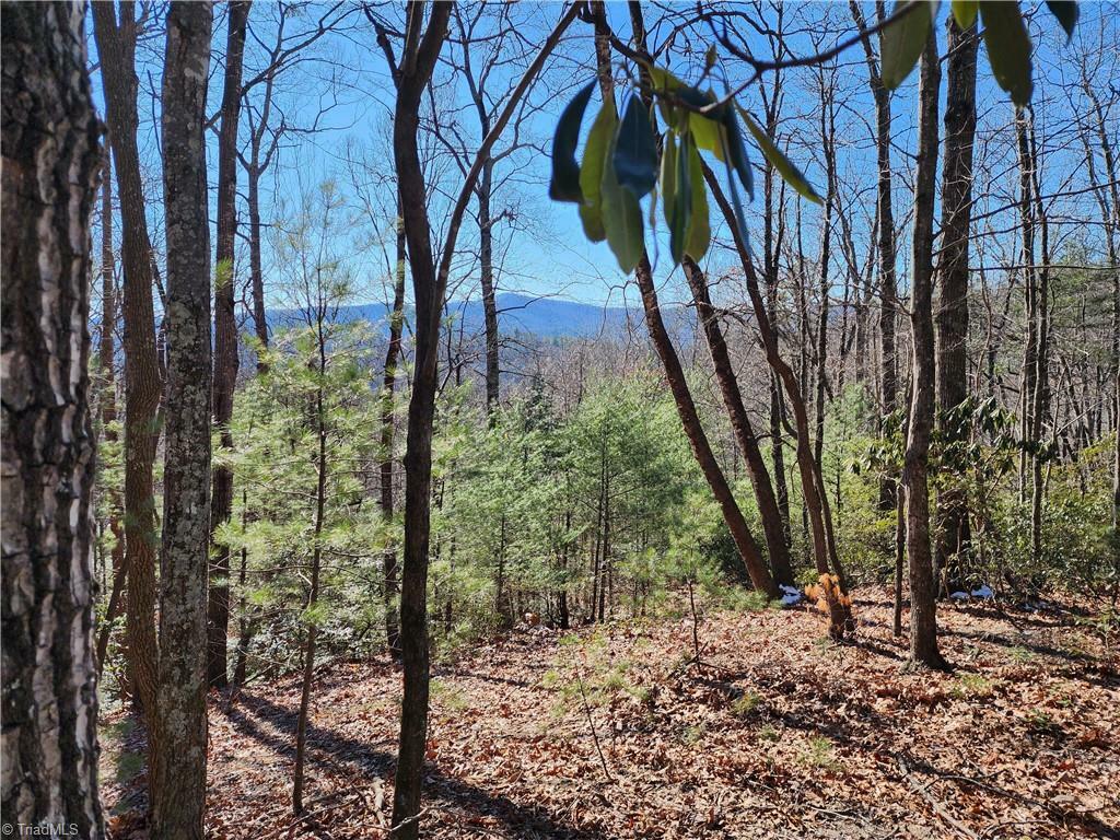 Property Photo: 000 Mountain Vista Drive NC 28649