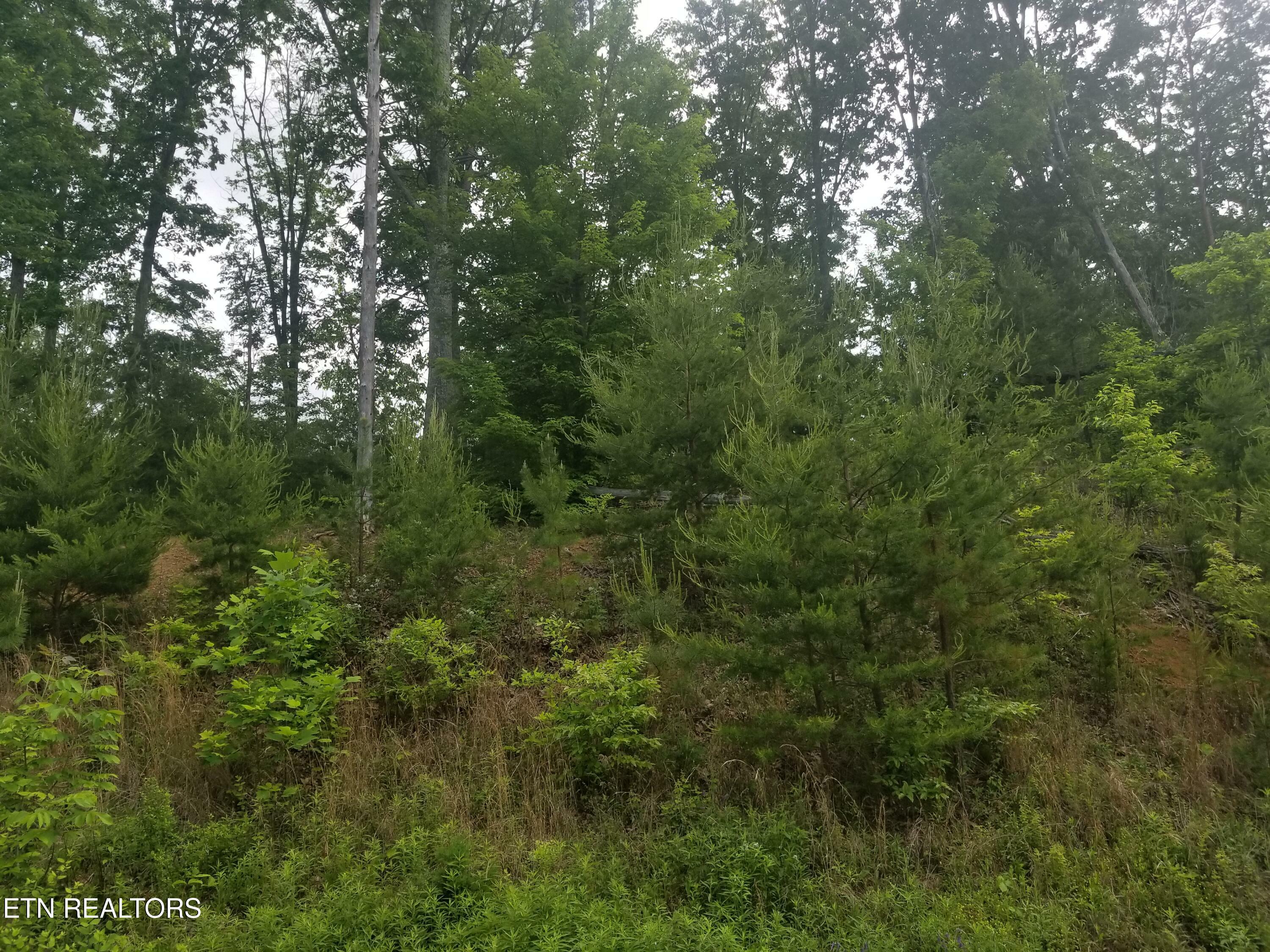 Property Photo:  Lot 33 Bayside Blvd  TN 37708 