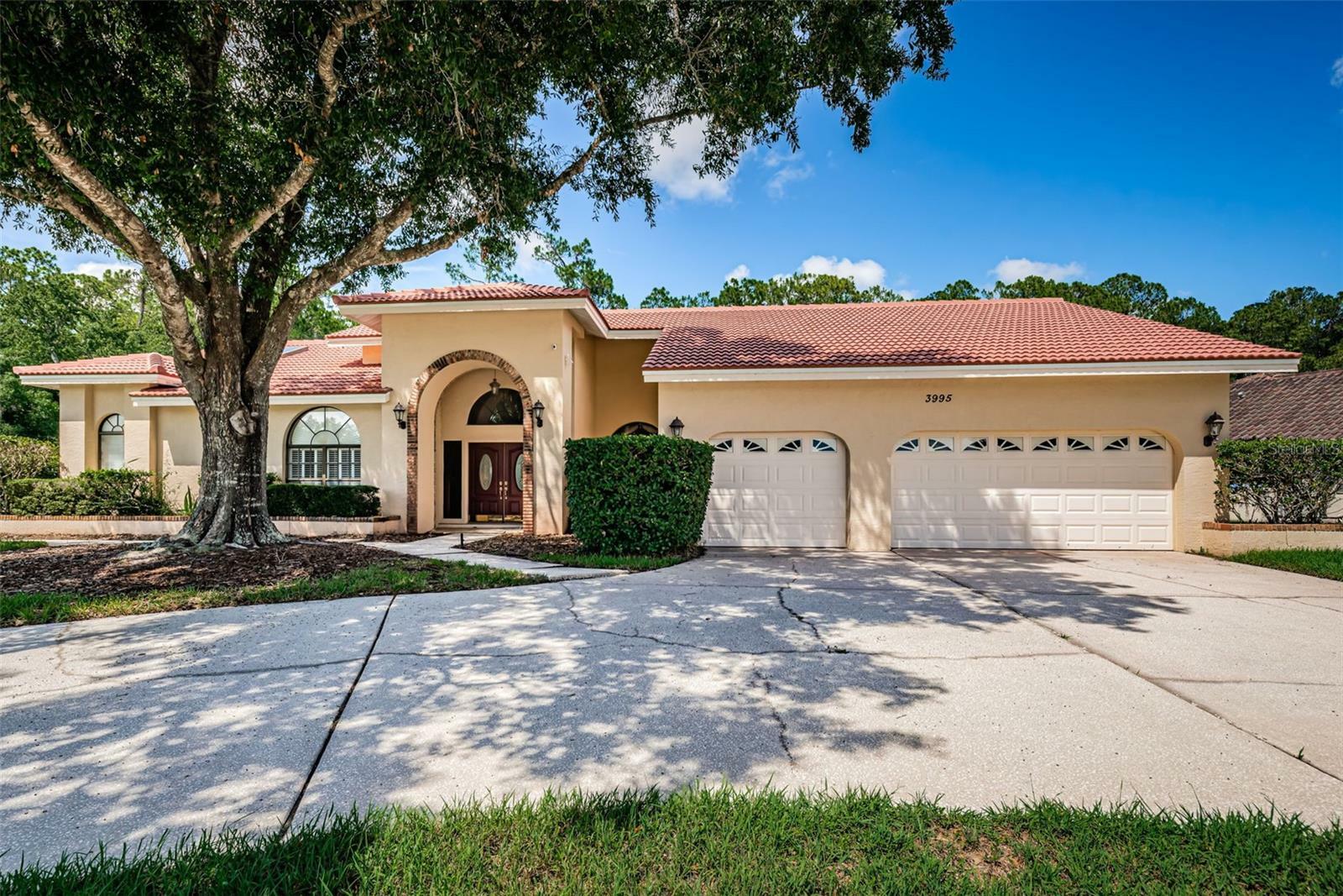 3995 Wellington Parkway  Palm Harbor FL 34685 photo