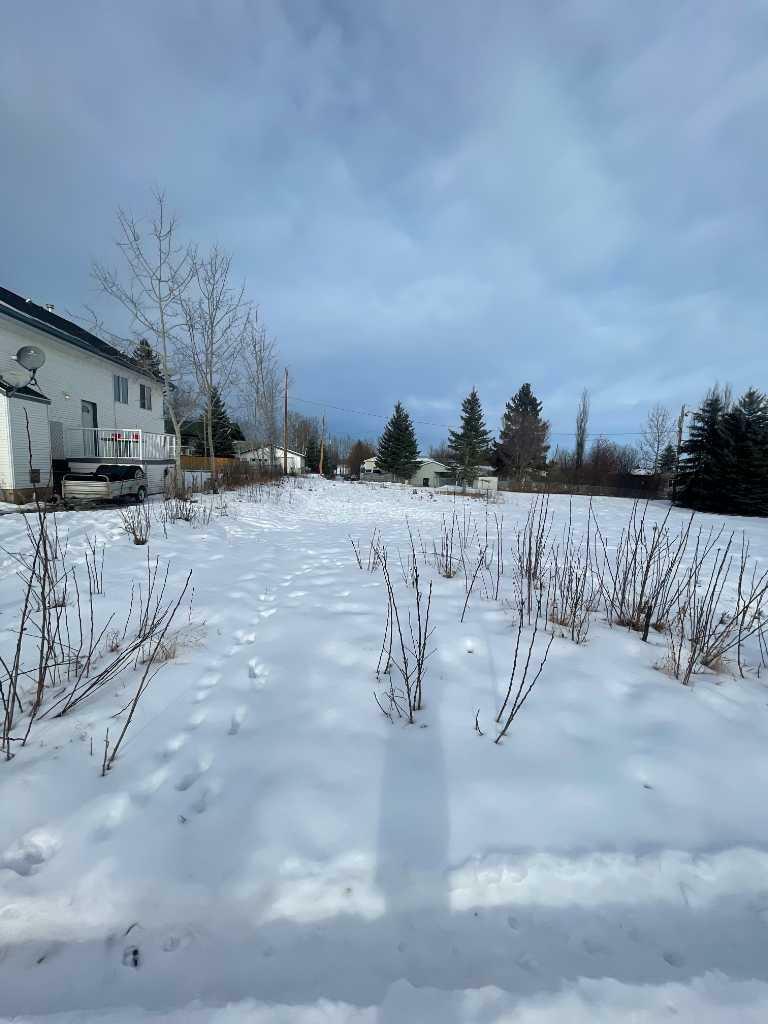 Property Photo:  5149 52 St Crescent  AB T0M 0M0 