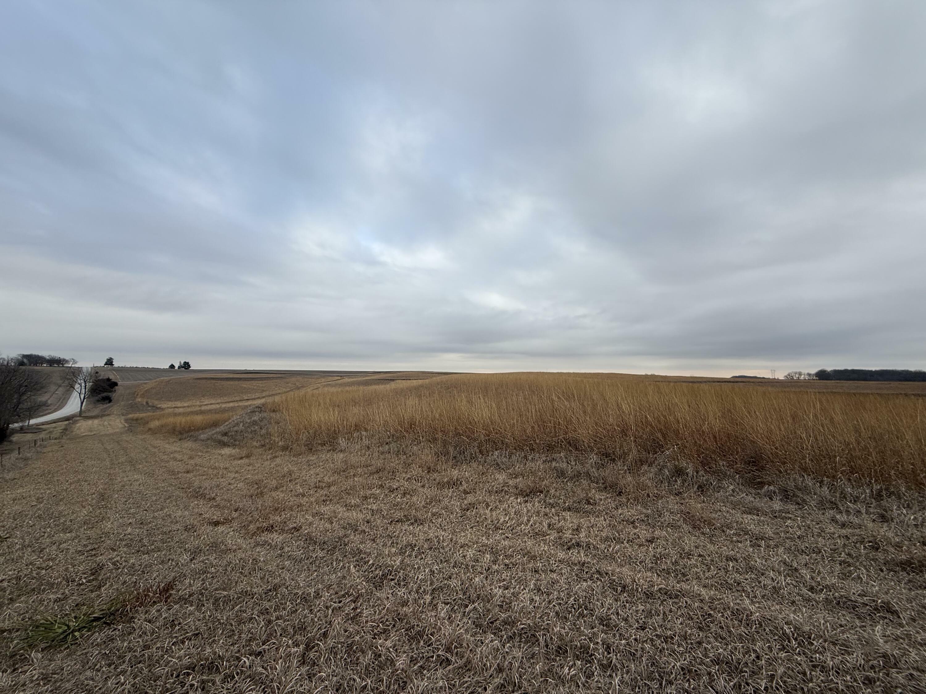 Property Photo:  17+/- Ac Hutchings  Avenue  IA 51551 