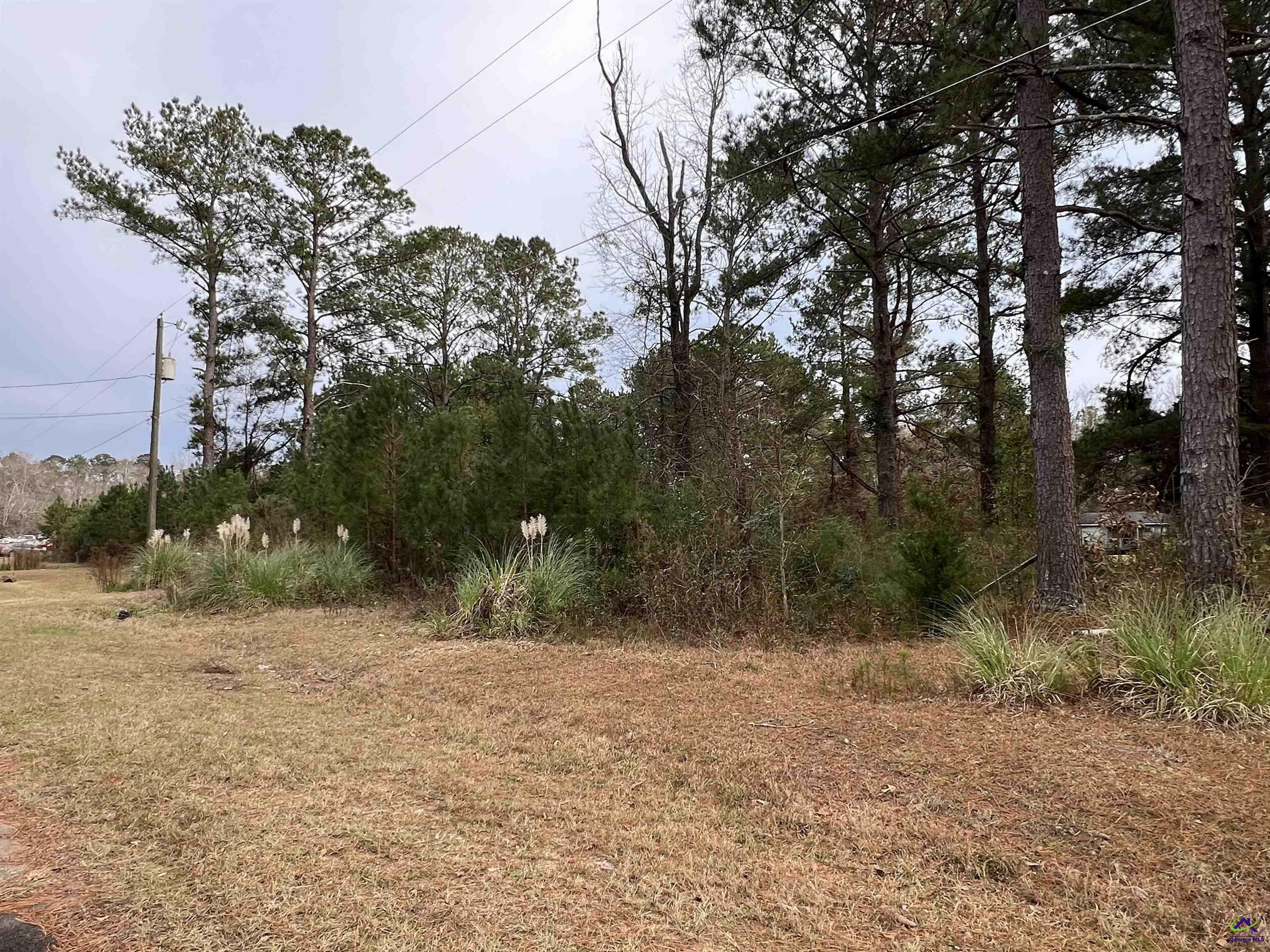 Property Photo:  109 Persimmon Drive  GA 31047 