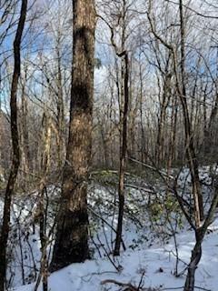 18N Bear Paw Road  Jasper GA 30143 photo