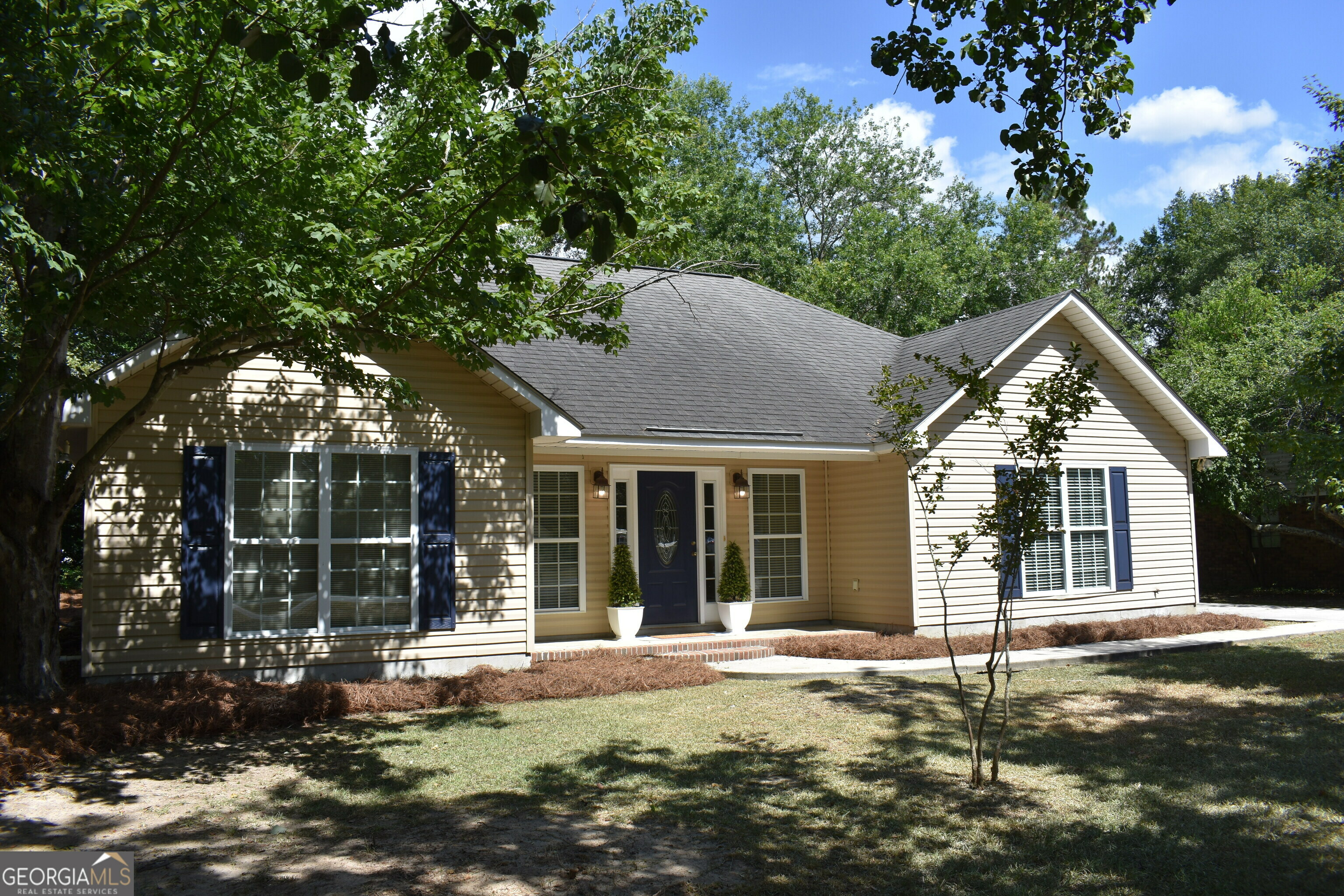 Property Photo:  725 S Rountree Street  GA 30439 