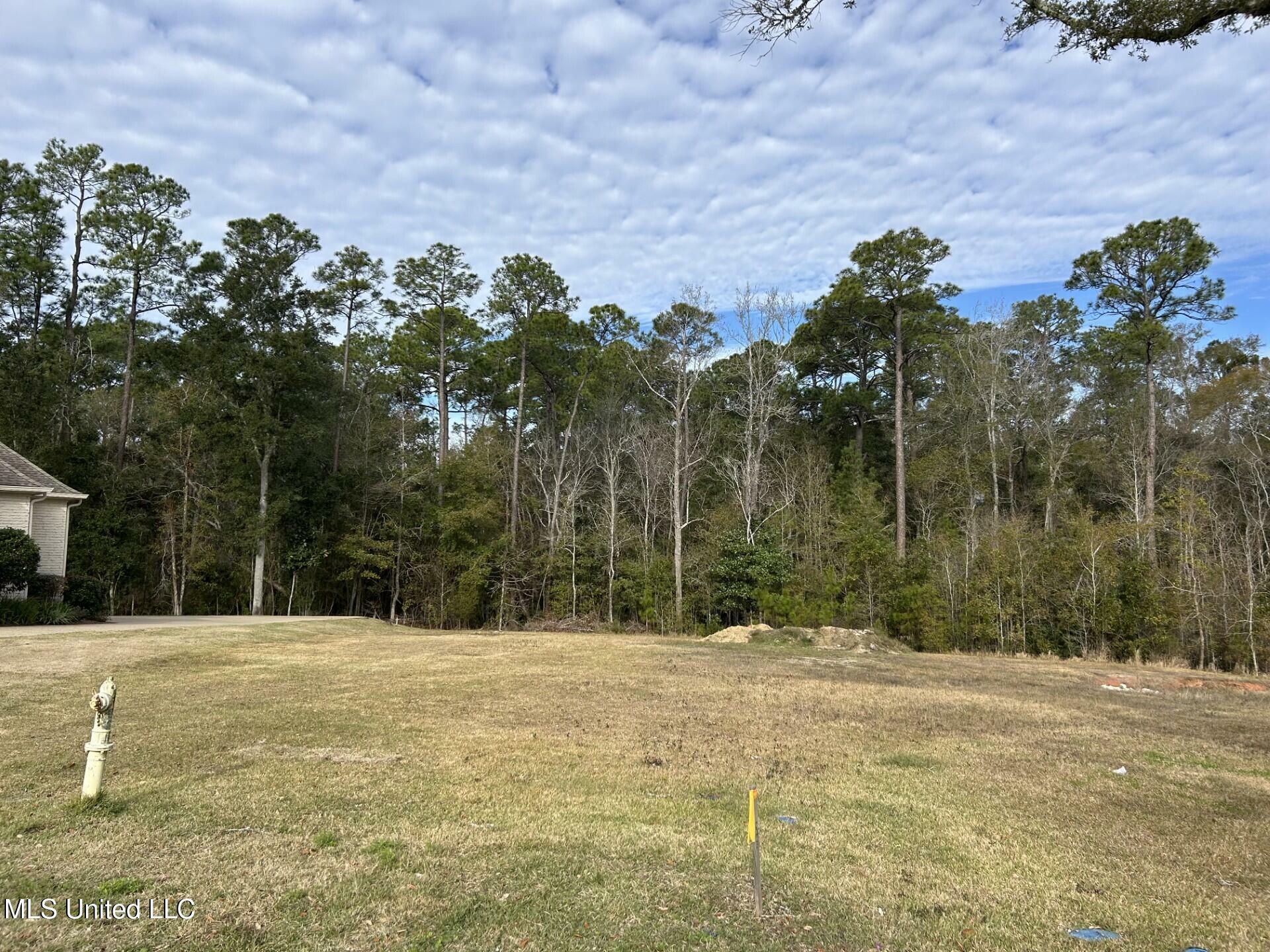 Property Photo:  Caymus Cove  MS 39564 