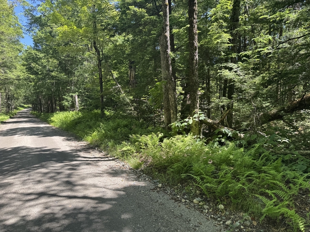 0 Old Stage Rd  Ashfield MA 01330 photo