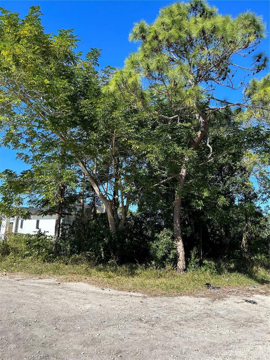 Property Photo:  219 SW  FL 33170 