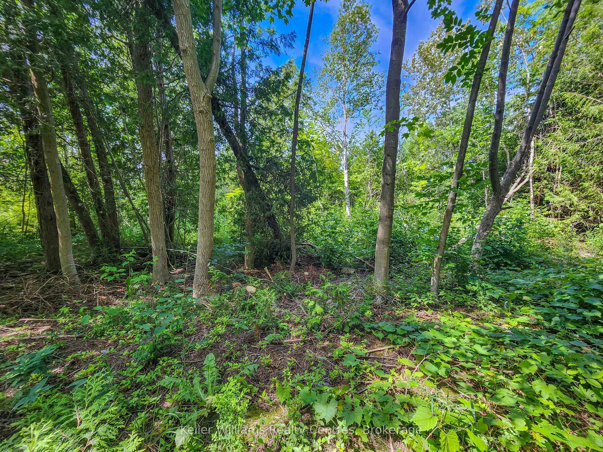 Property Photo:  151 Mallard St N/A  ON N0H 2T0 