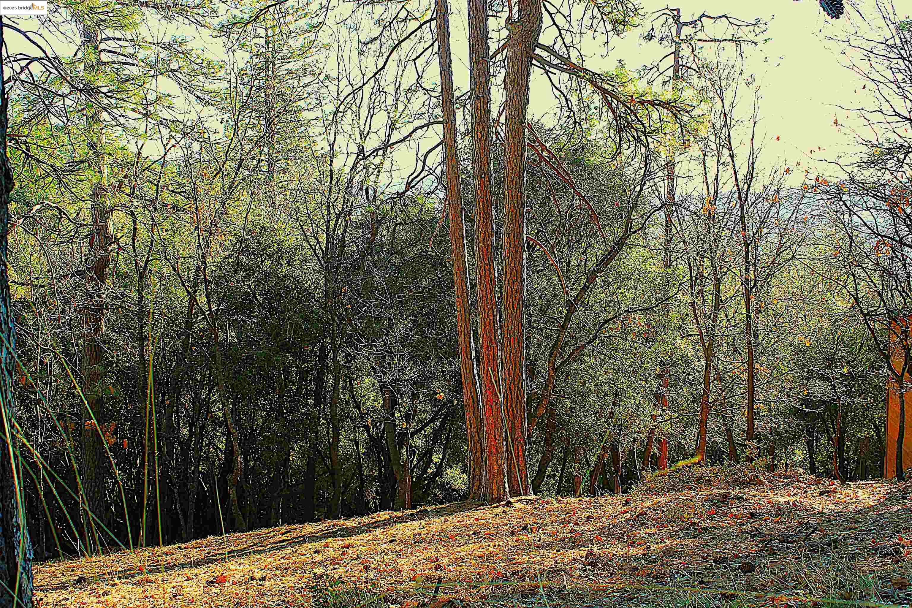 Property Photo: 23753 Rusty Spur Road CA 95370