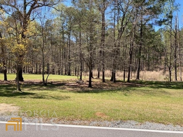 Property Photo:  151 Cabin Creek Drive  GA 31061 