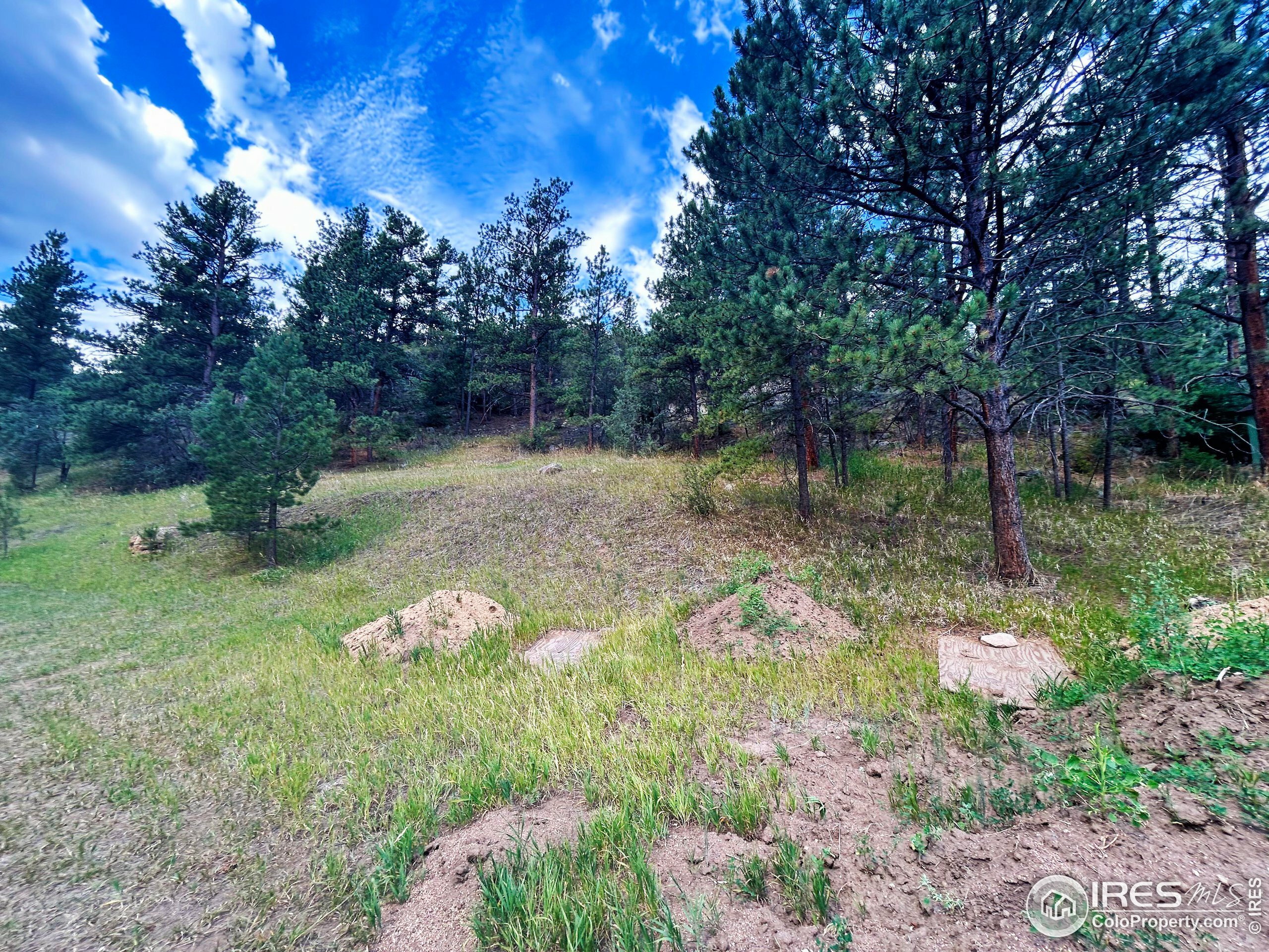 211 Streamside Dr  Glen Haven CO 80532 photo