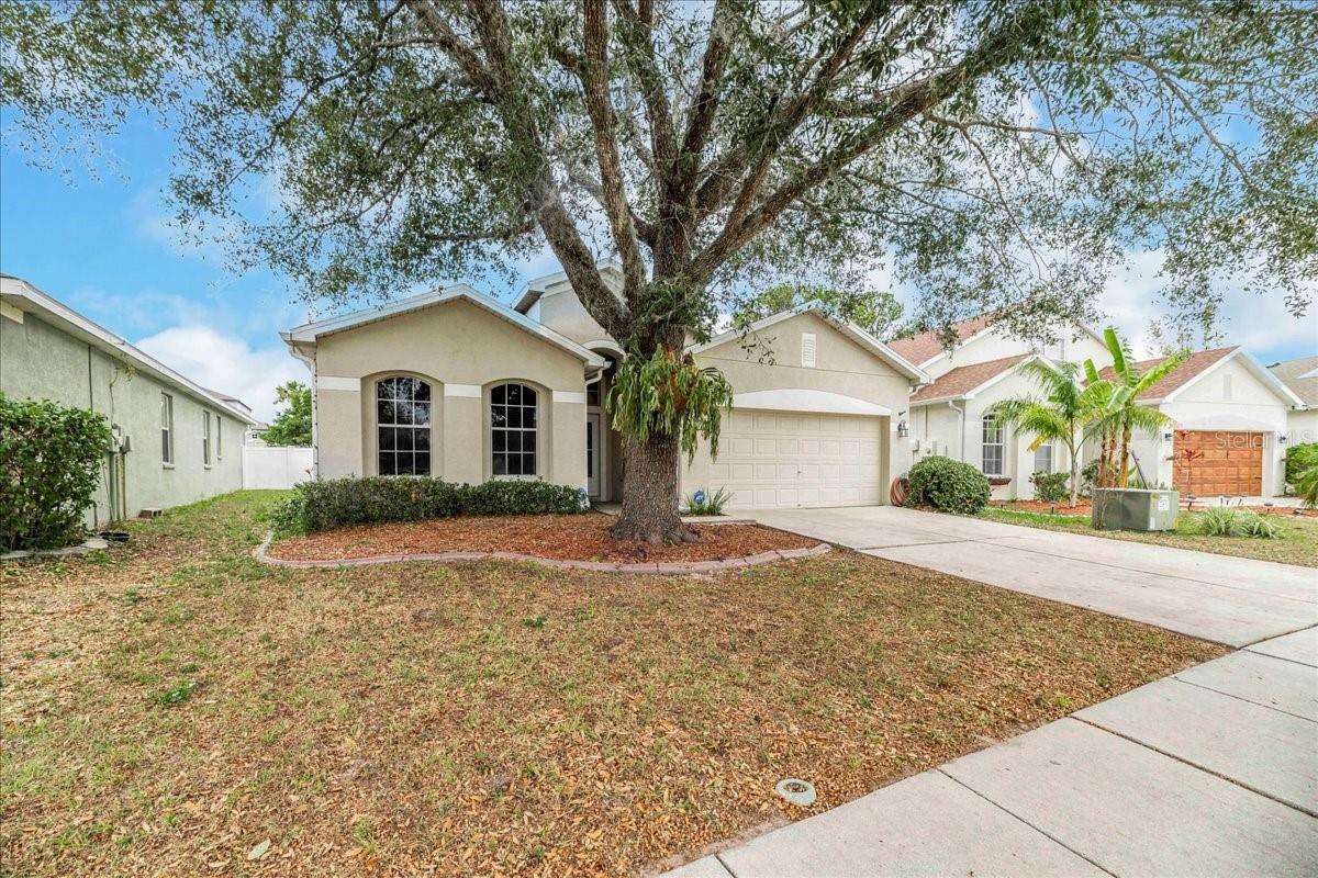 Property Photo:  269 Fairmont Drive  FL 34609 