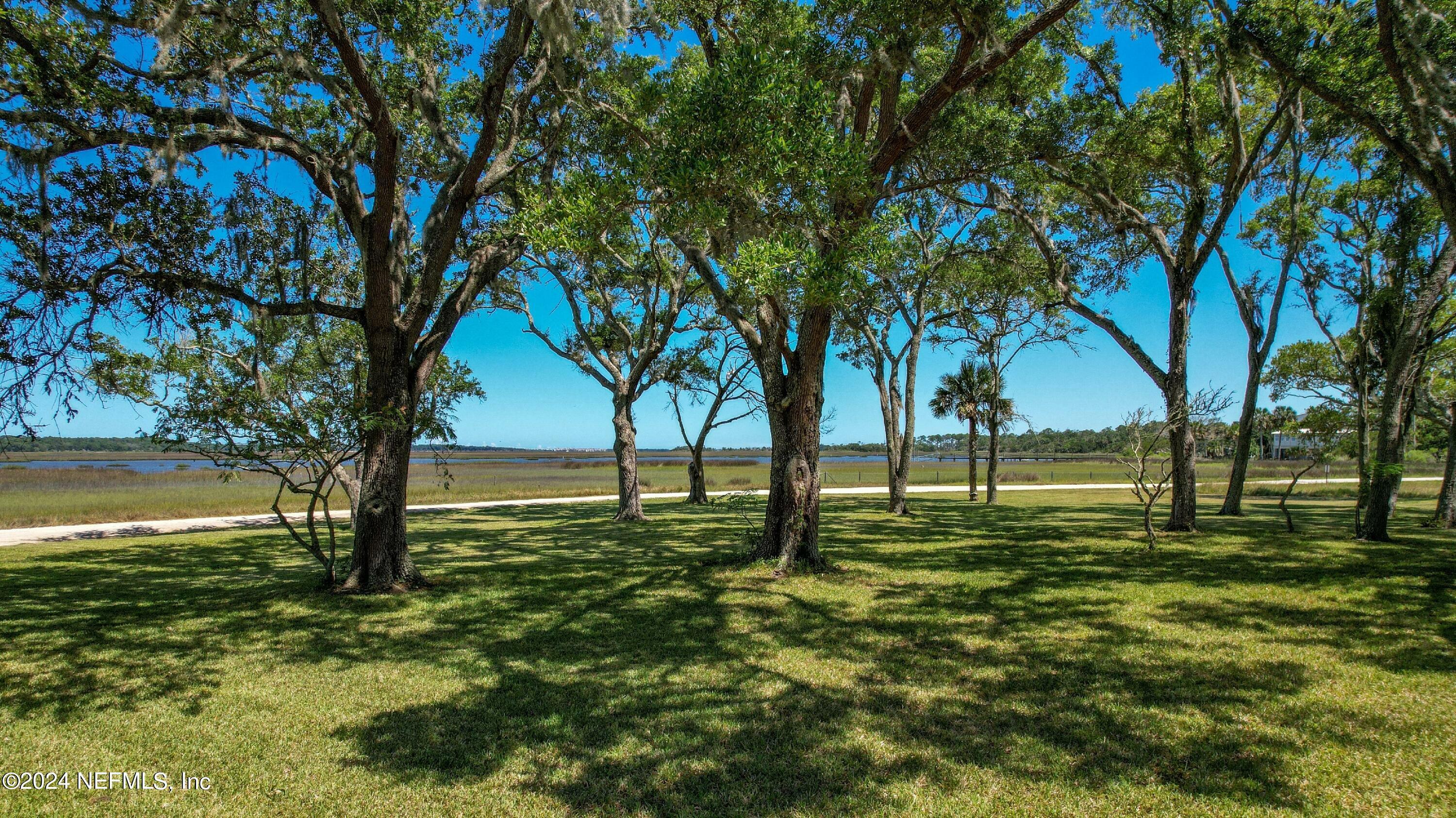 Property Photo:  Isle Lot 1 Stokes Landing Road  FL 32095 