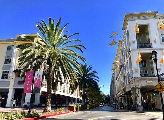 Property Photo: 333 Santana Row 239 CA 95128