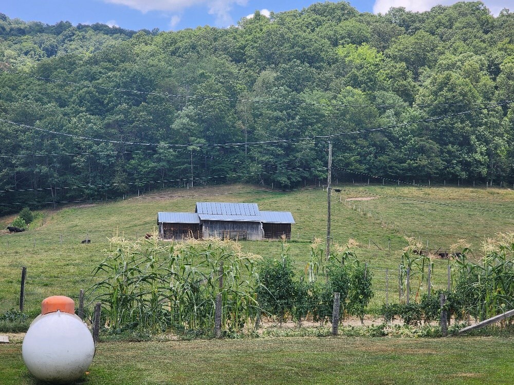 Property Photo:  312 Falls View Lane  WV 25951 