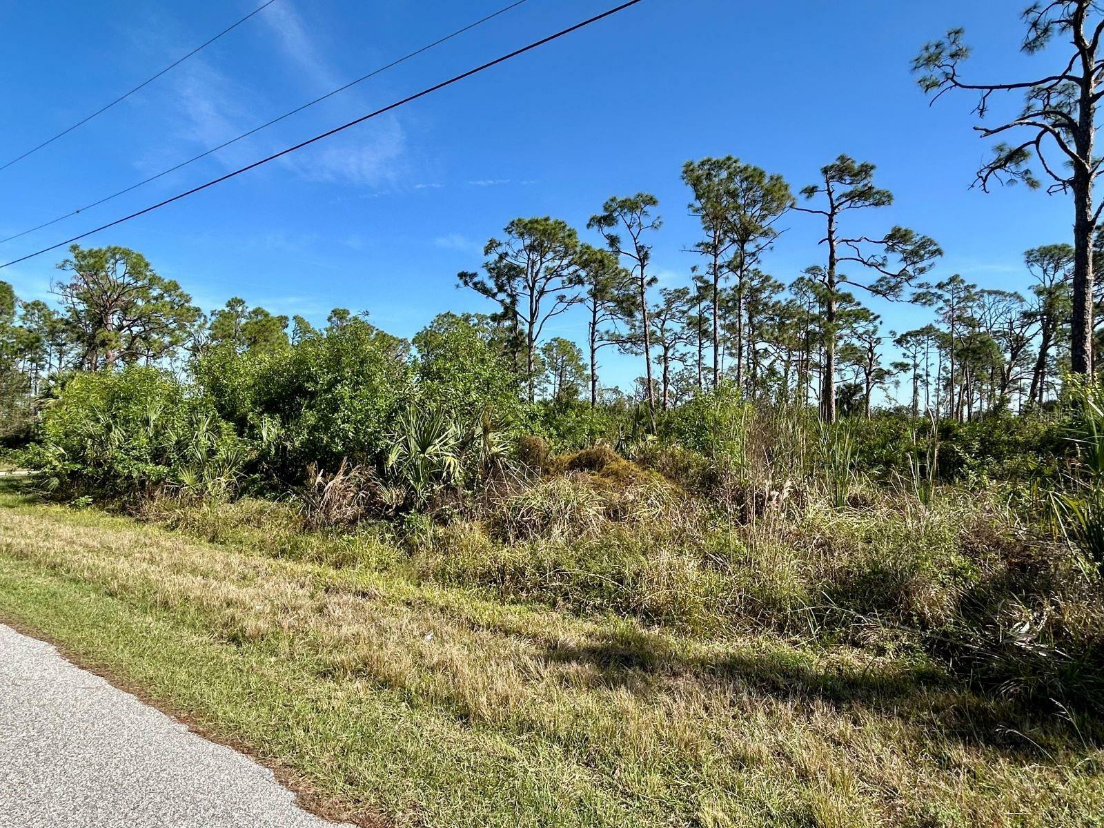 Property Photo:  13261 Gorman Avenue  FL 33981 