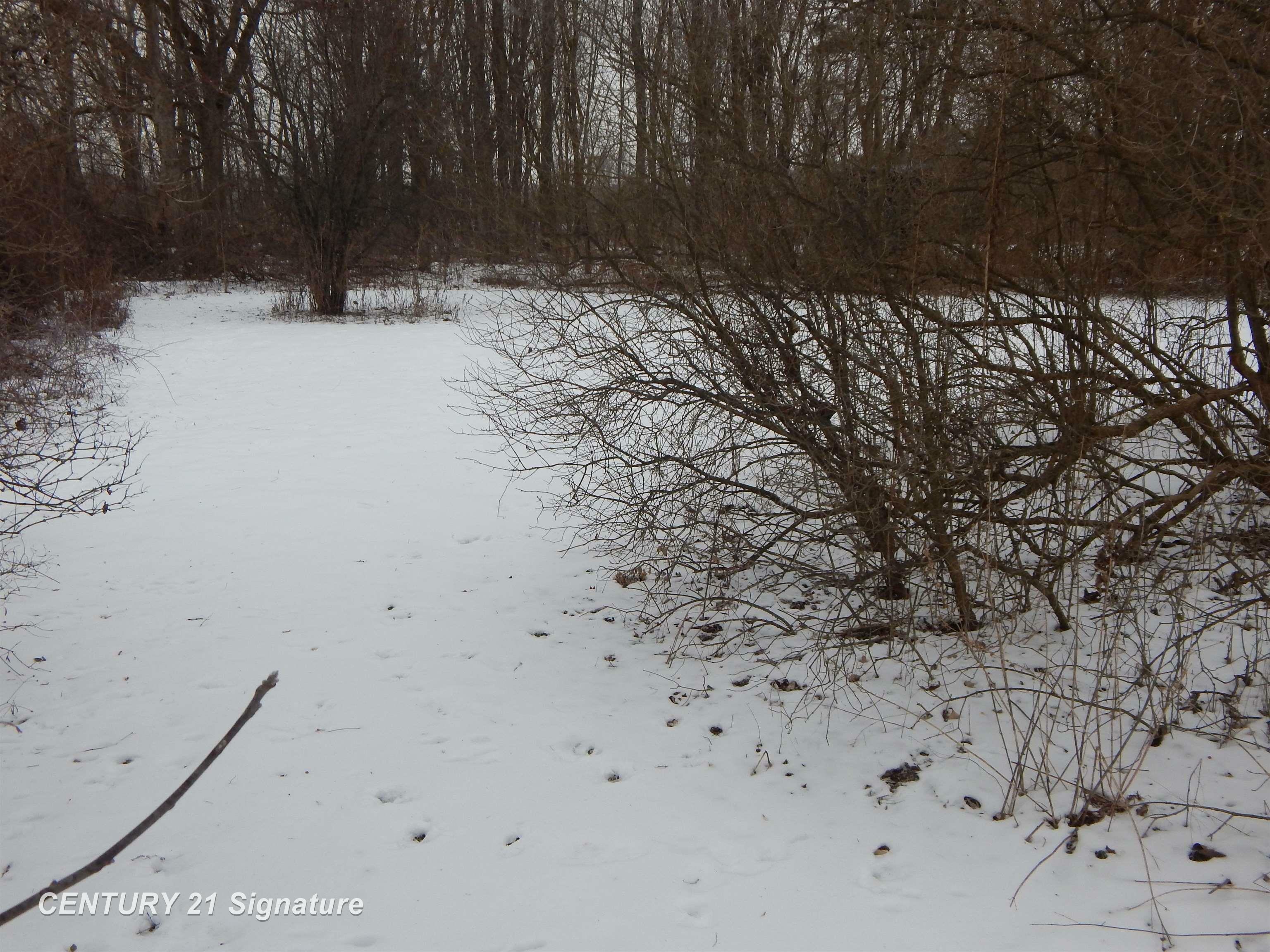 Property Photo:  11038 Farrand Road  MI 48457 