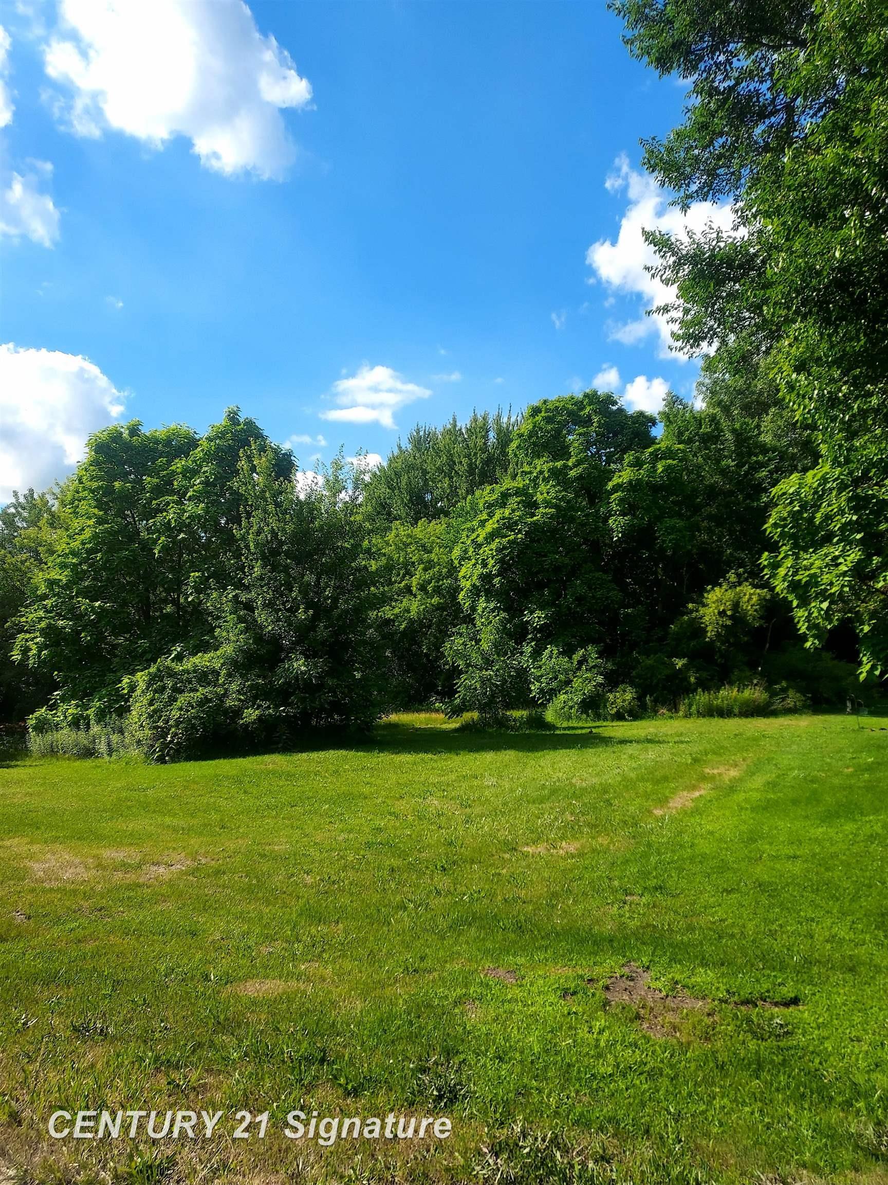 Property Photo:  11038 Farrand Road  MI 48457 