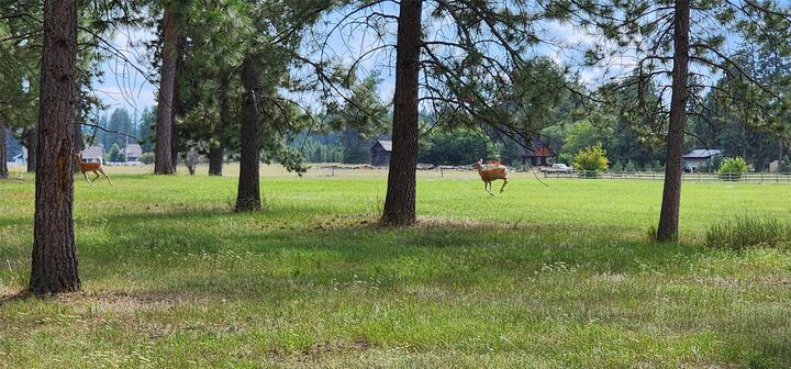 Property Photo: 3341 Middle Road MT 59912