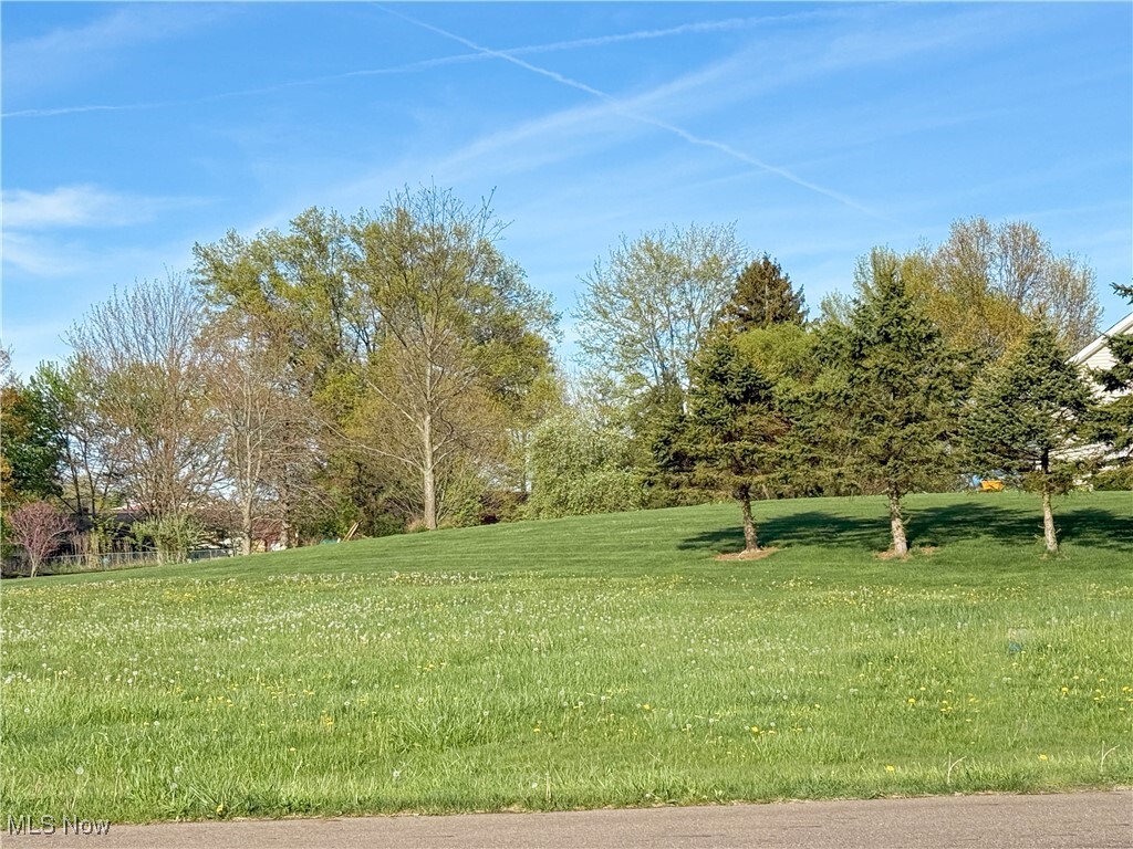 Property Photo:  49236 Foxwood Lane  OH 44413 
