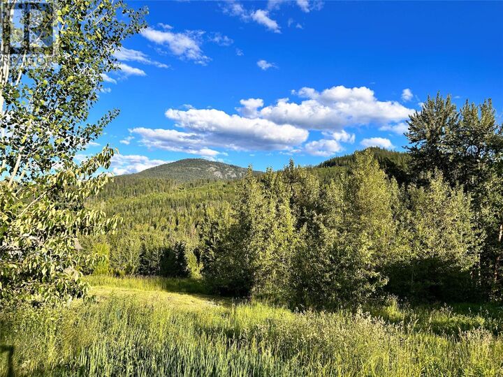 917 Redstone Drive  Rossland BC V0G 1Y0 photo