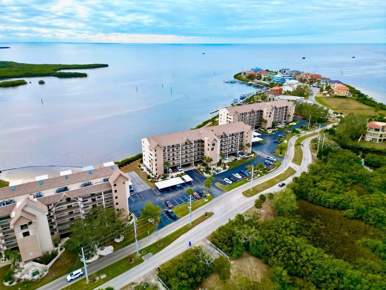 Property Photo: 4620 Bay Boulevard 1158 FL 34668