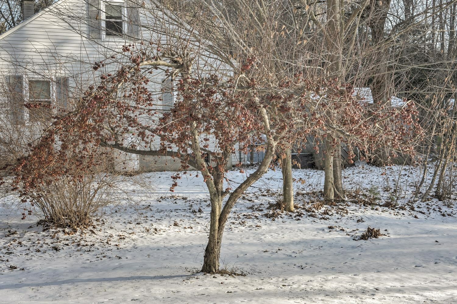 Property Photo:  38 Old Walpole Road  NH 03431 