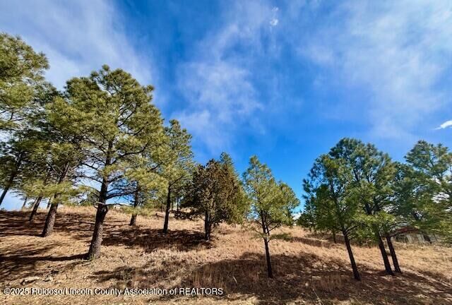 216 Sunny Slope Drive  Ruidoso NM 88345 photo