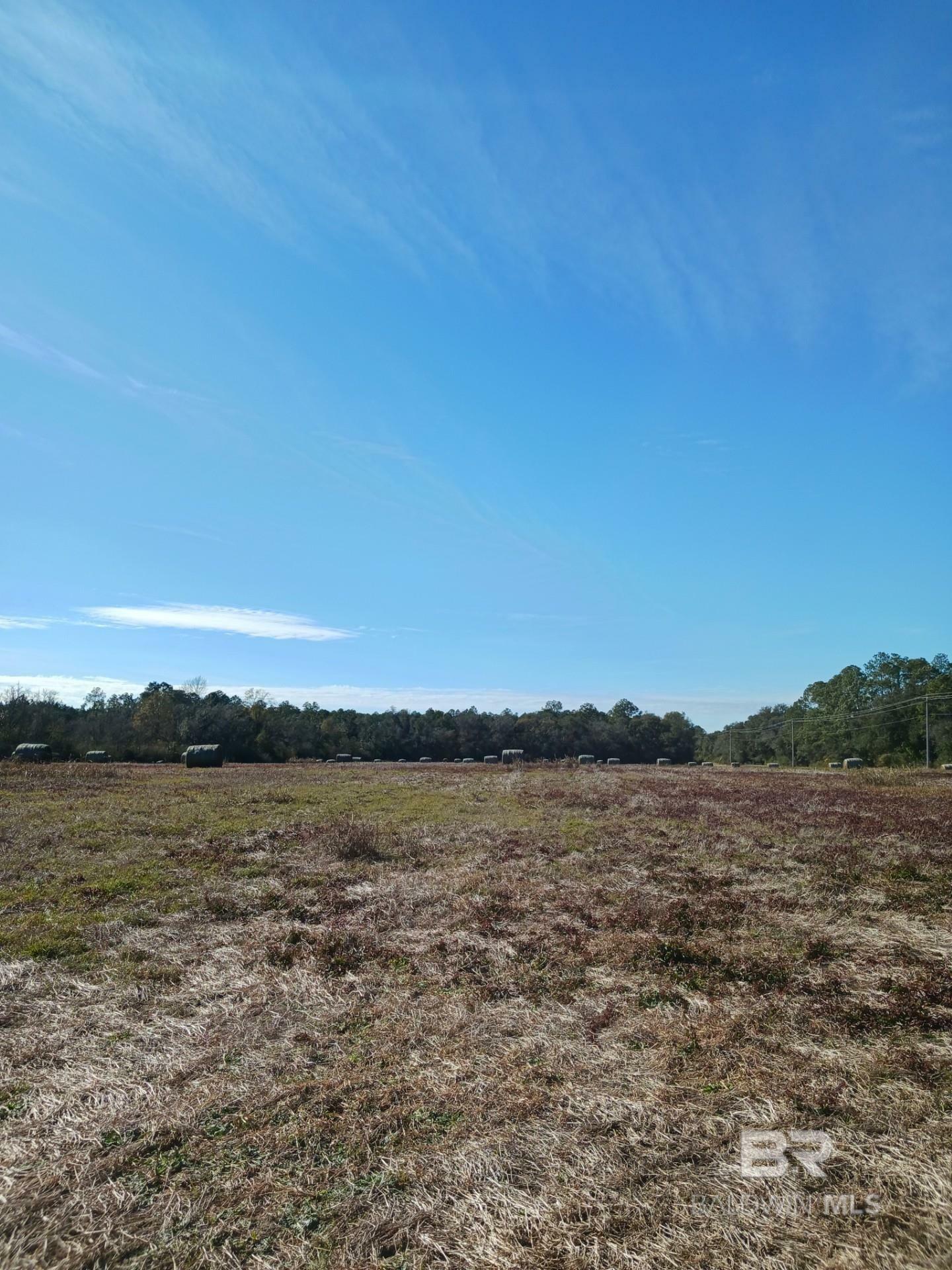 Property Photo:  23486 County Road 36  AL 36580 