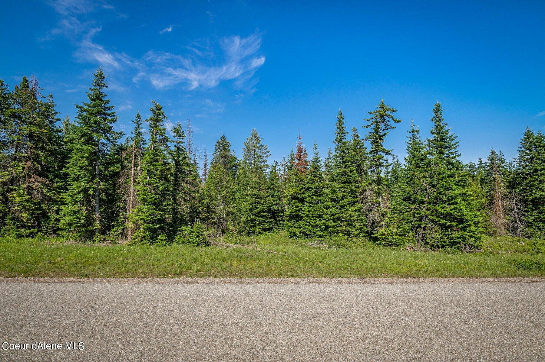 Property Photo:  Lot 10 E Riley Loop  ID 83801 