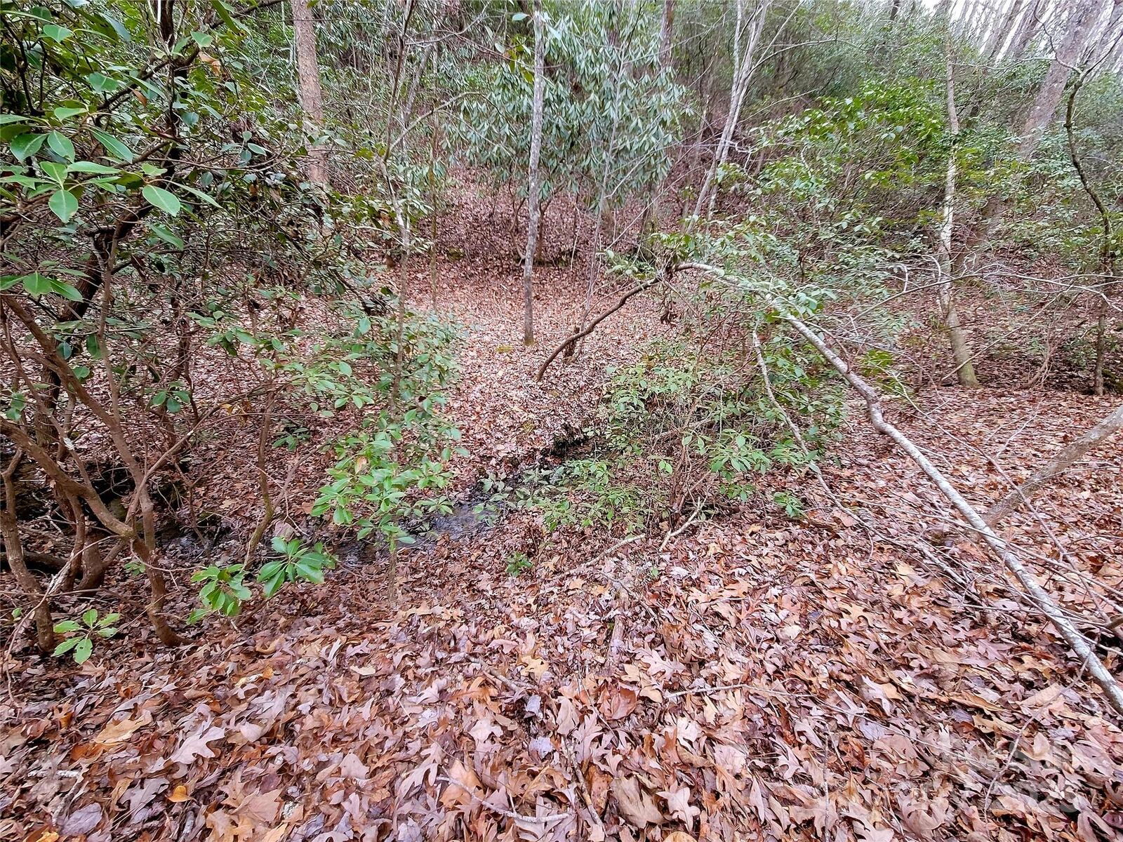 Property Photo: 000 Birddog Boulevard 328 NC 28746