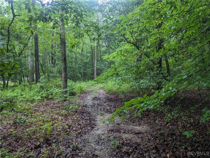 Property Photo: 0 Good Hope Road VA 23089