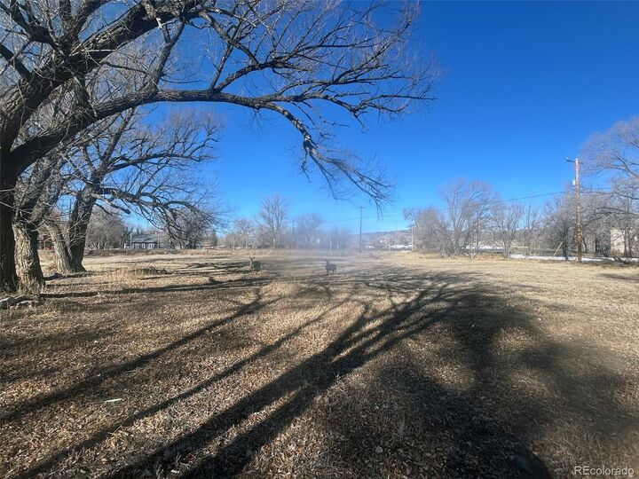 Property Photo:  None Highway 285  CO 81149 