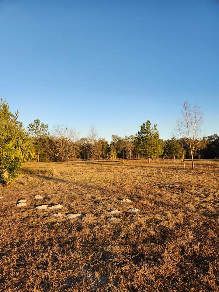 Property Photo:  76th Ave  FL 32626 