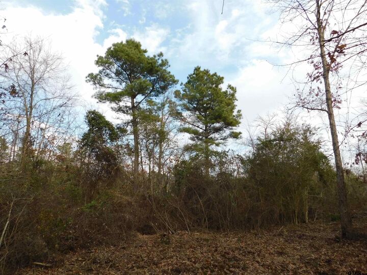 Property Photo:  Tbd Fm 852  TX 75644 