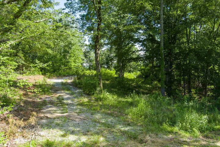 Property Photo: 689 Pates Ford Rd TN 38587