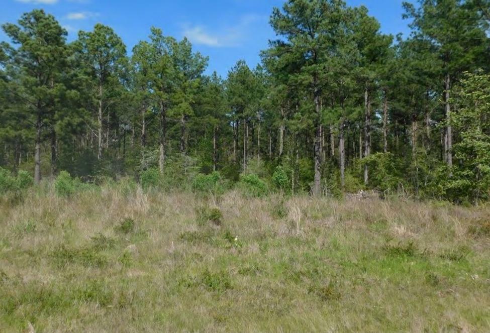 Property Photo:  Tbd Martin Cochran Rd  TX 75949 