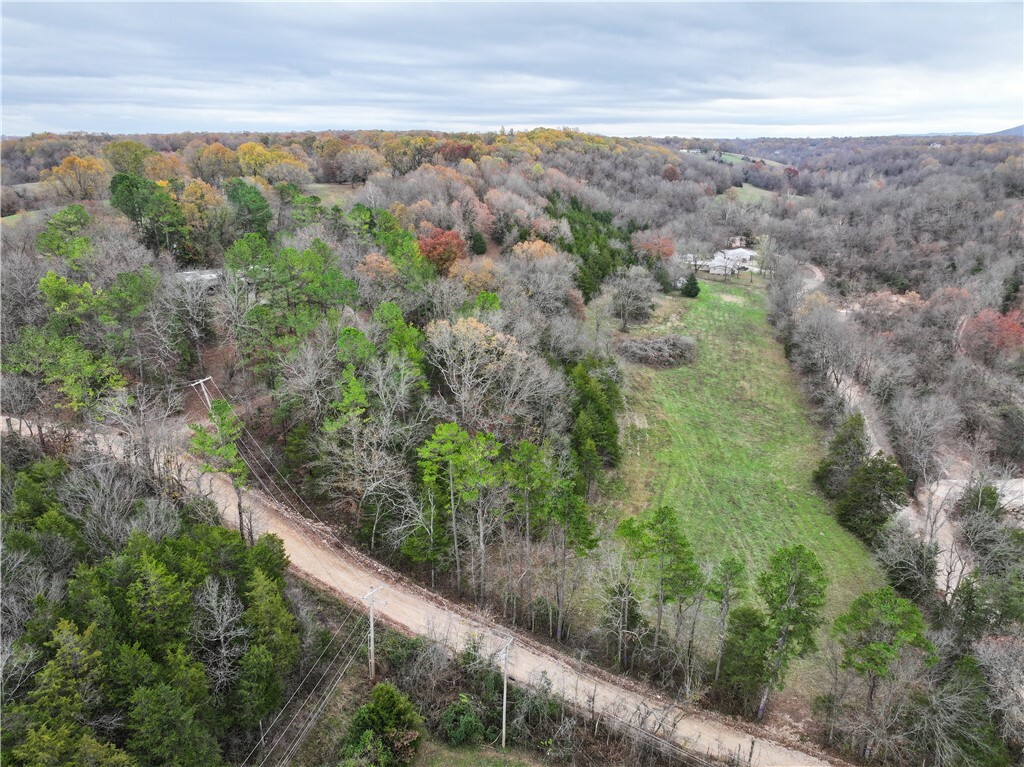 Property Photo:  Lot 3 Old Capps Road  AR 72601 